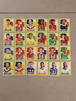 24 Spieler Panini WM26