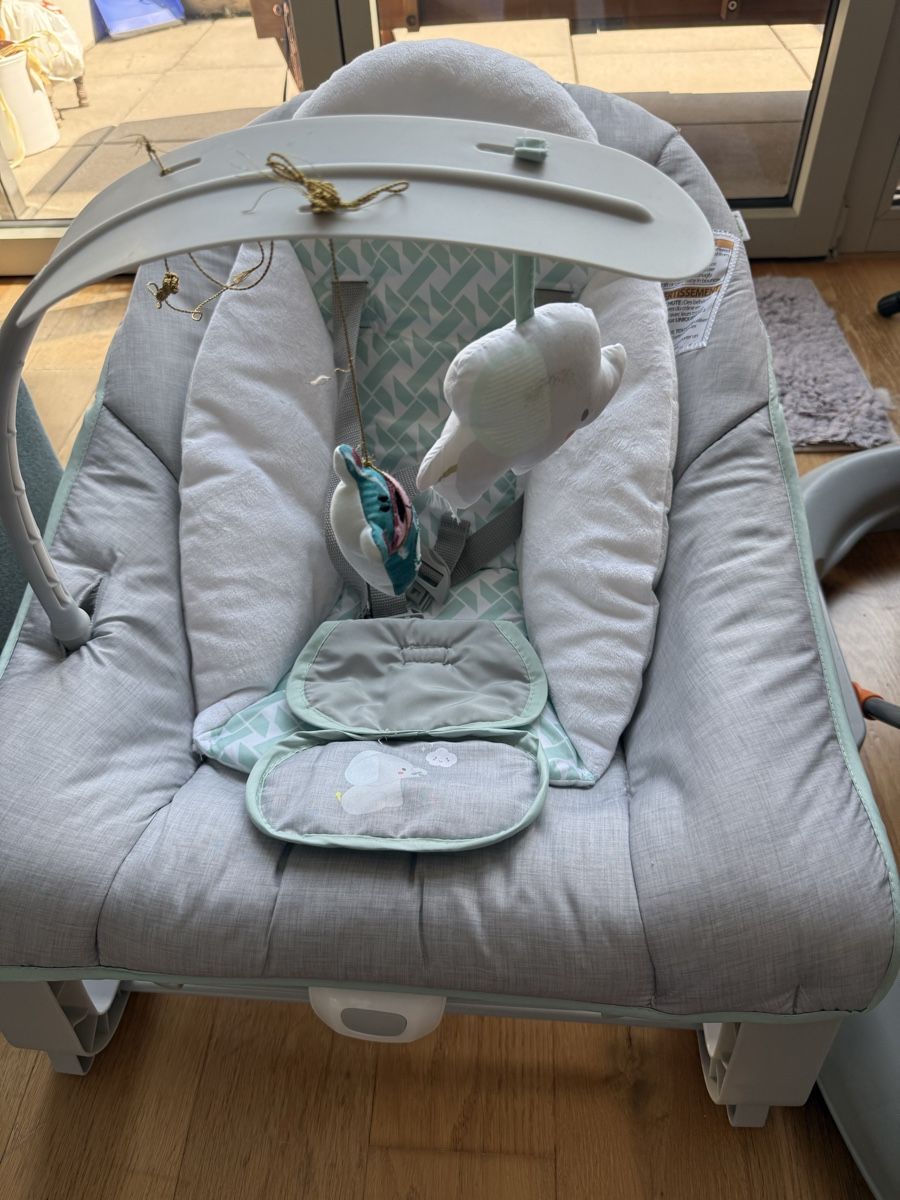 Sdraiette & Sdraiette a dondolo: Baby Rocker  Grey/Mint Good Condition – Usato da Zürich venduto da PetiteSeller