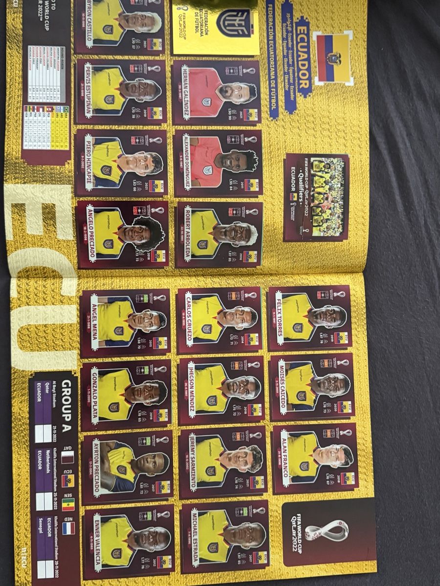 Panini Album: World Cup 2022 Qatar volles Buch – Usato da Brittnau venduto da nicola.suter 4
