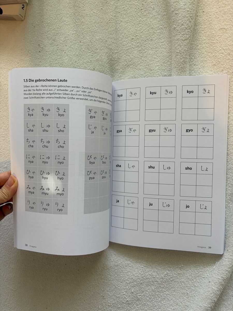 Libri: Japanisch Übungsheft – Nuovo (secondo la descrizione) da Hüttikon venduto da ele_tll8 2