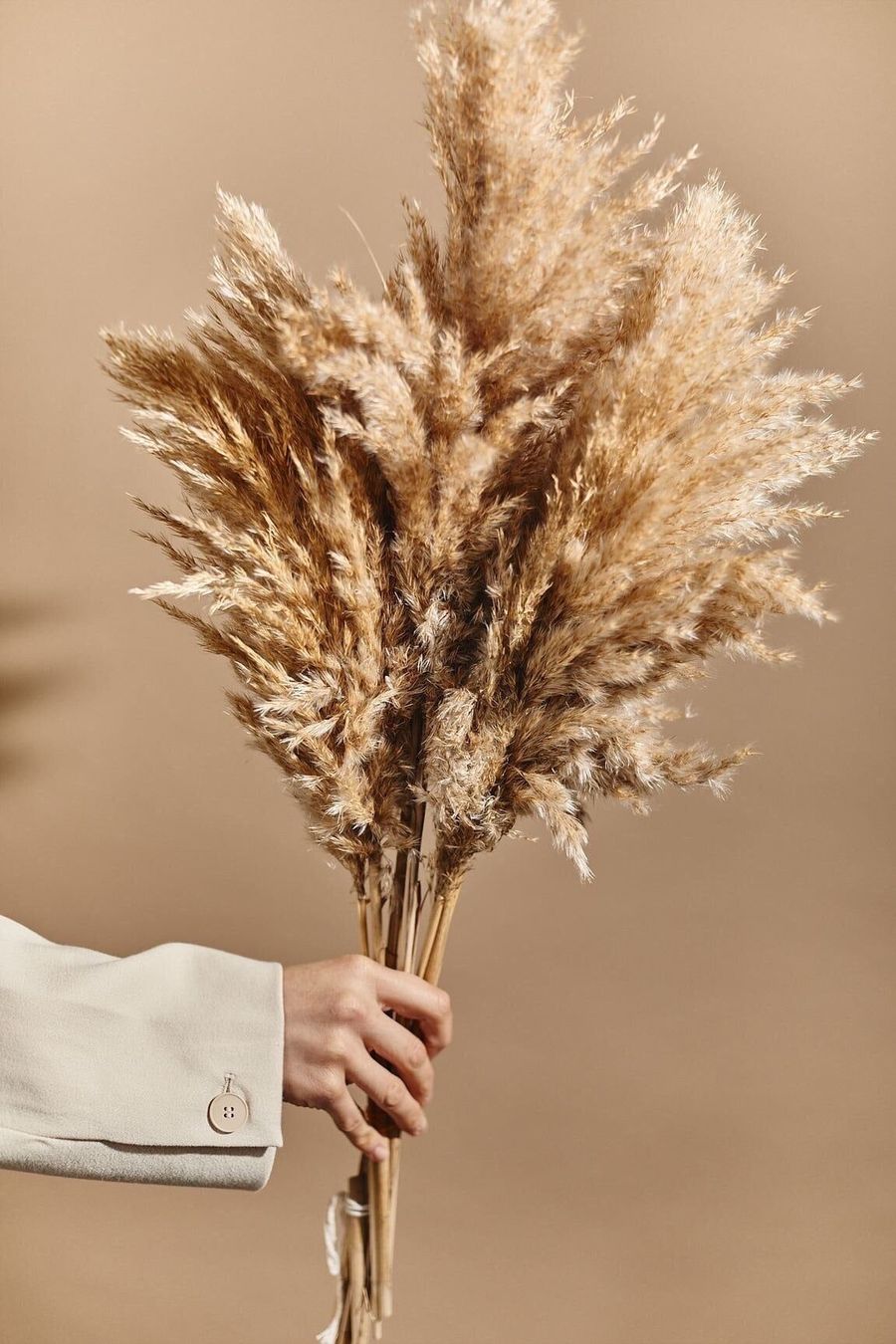 Alle Dekorationen: Pampas Gras – Neu und originalverpackt aus Pfaffhausen von Kevin_Meier 5