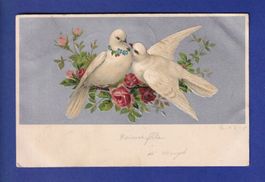 OISEAU - Colombes - Carte gauffrée