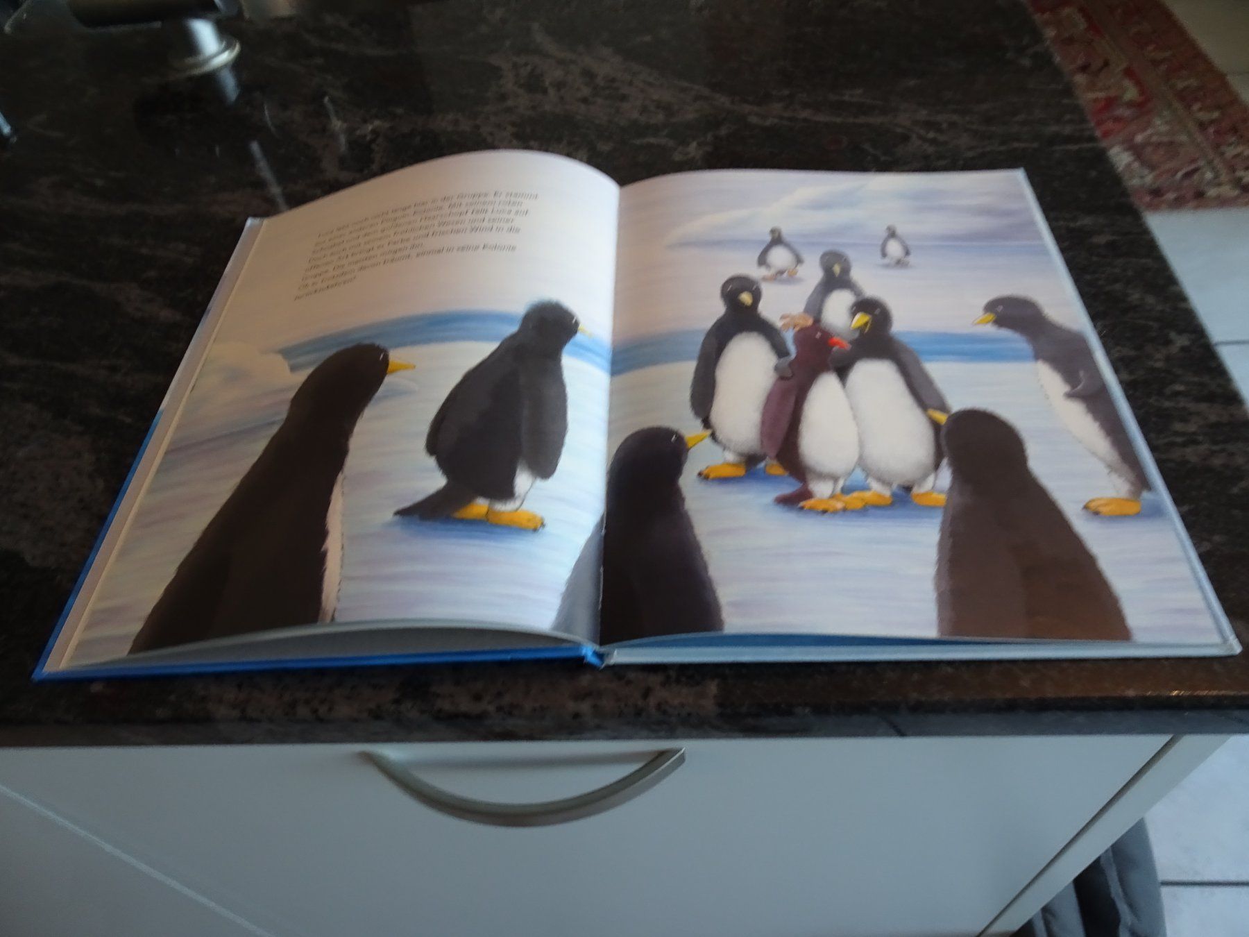 Libri: BilderBuch SO ODER SO einfach Pinguin sein.Marcel Pfister A6 – Nuovo (secondo la descrizione) da Zürich venduto da Roulet 4