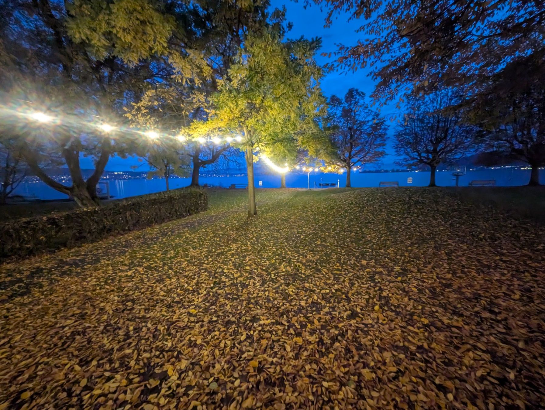 Ghirlande e barre luminose: LED Lichterkette - 10m - 10 Glühbirnen – Nuovo e nell'imballaggio originale da Schönenberg ZH venduto da vat_nxw9 2