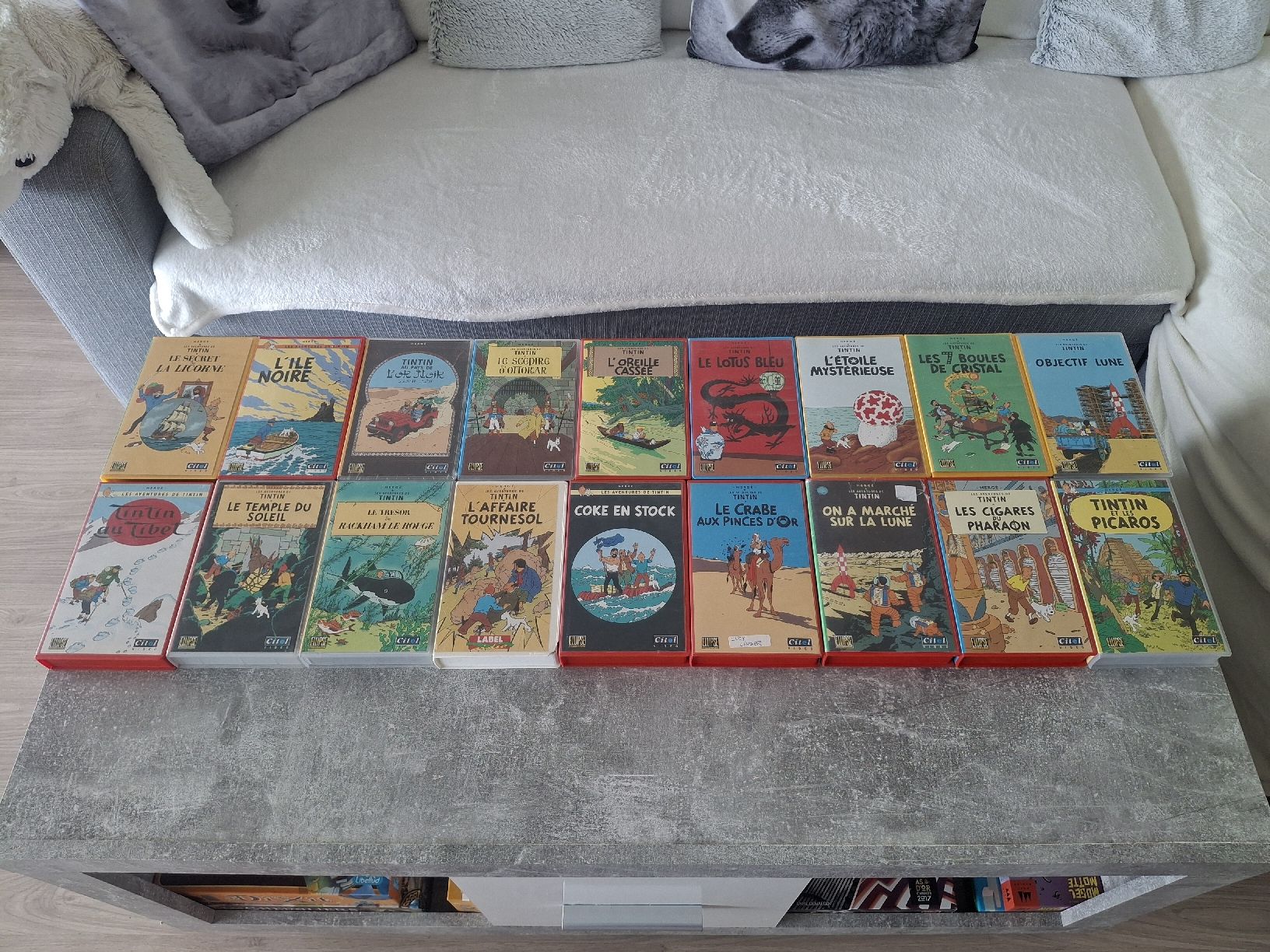 Tutti i VHS: Lot VHS Tintin – Usato da Morges venduto da ProfesseurJones