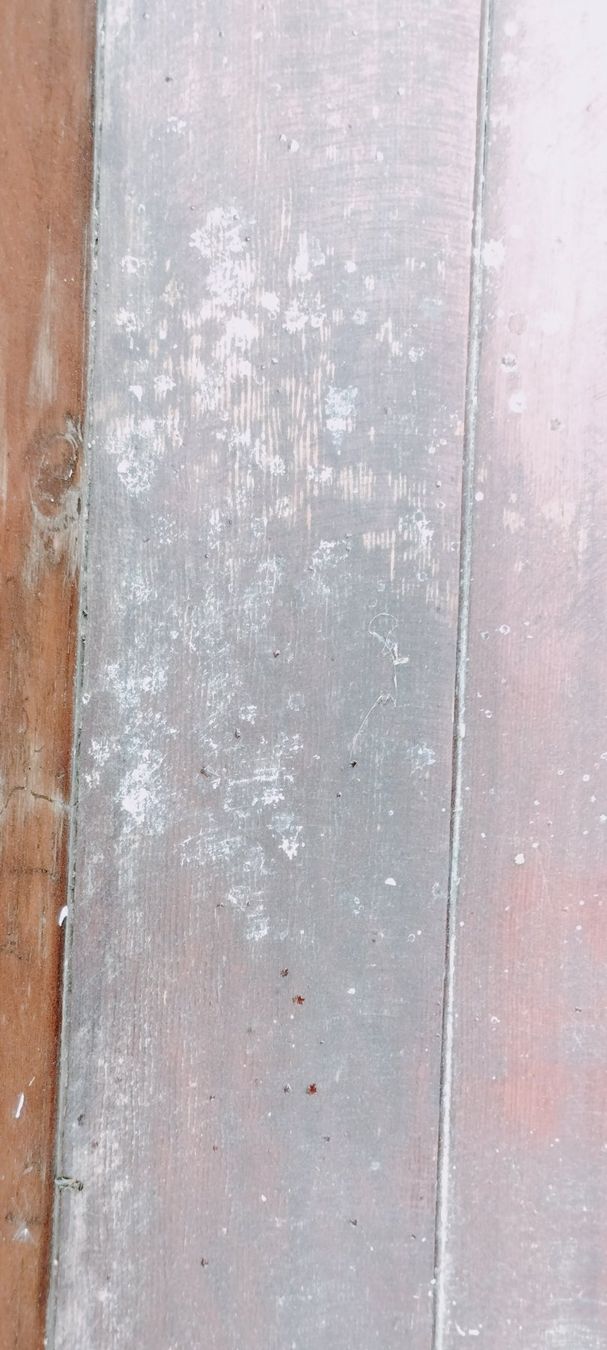 Tutte le decorazioni: Baby Wiege Antik – Usato da Gansingen venduto da Lisa-Jane 2