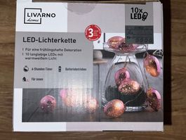 Livarno Home LED Lichterkette, neu, für den Frühling!