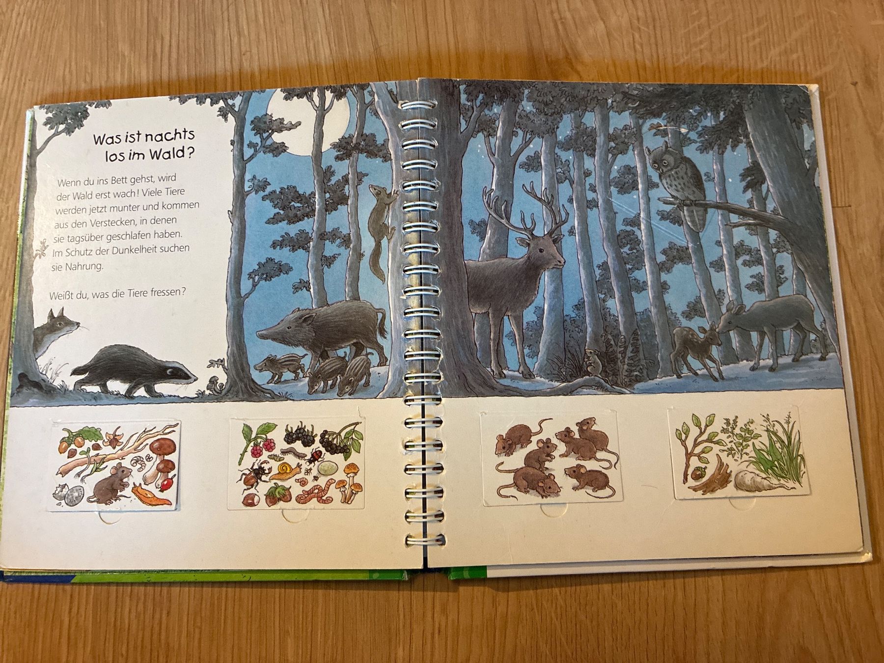 Bücher: Der Wald, Ravensburger, wieso, weshalb, warum – Gebraucht aus Eggenwil von mic_b5l2 4