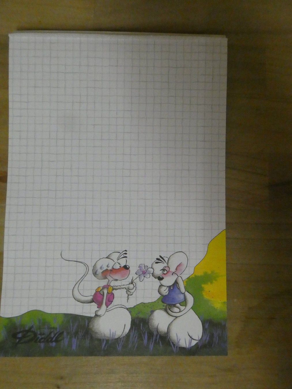 Blocs de correspondance: Diddl A5 Nr. 17, 1 Blatt RARITÄT – Neuf (Voir description) à Steinhausen par Aktion