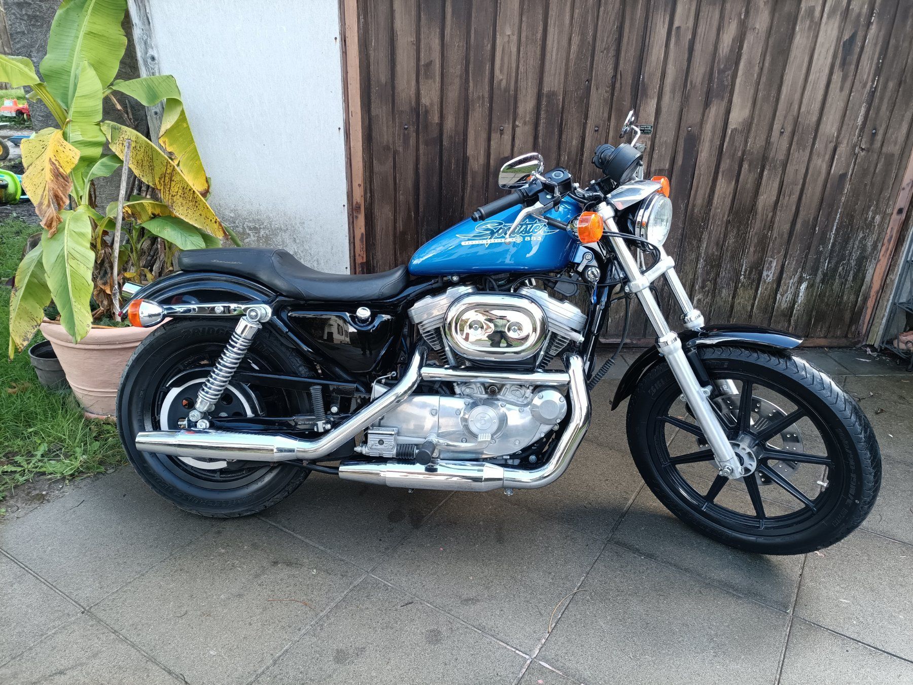 Harley-Davidson Chopper: HARLEY-DAVIDSON XLH883 SPORTSTER – Usato da Heimenhausen venduto da trucker_86 3