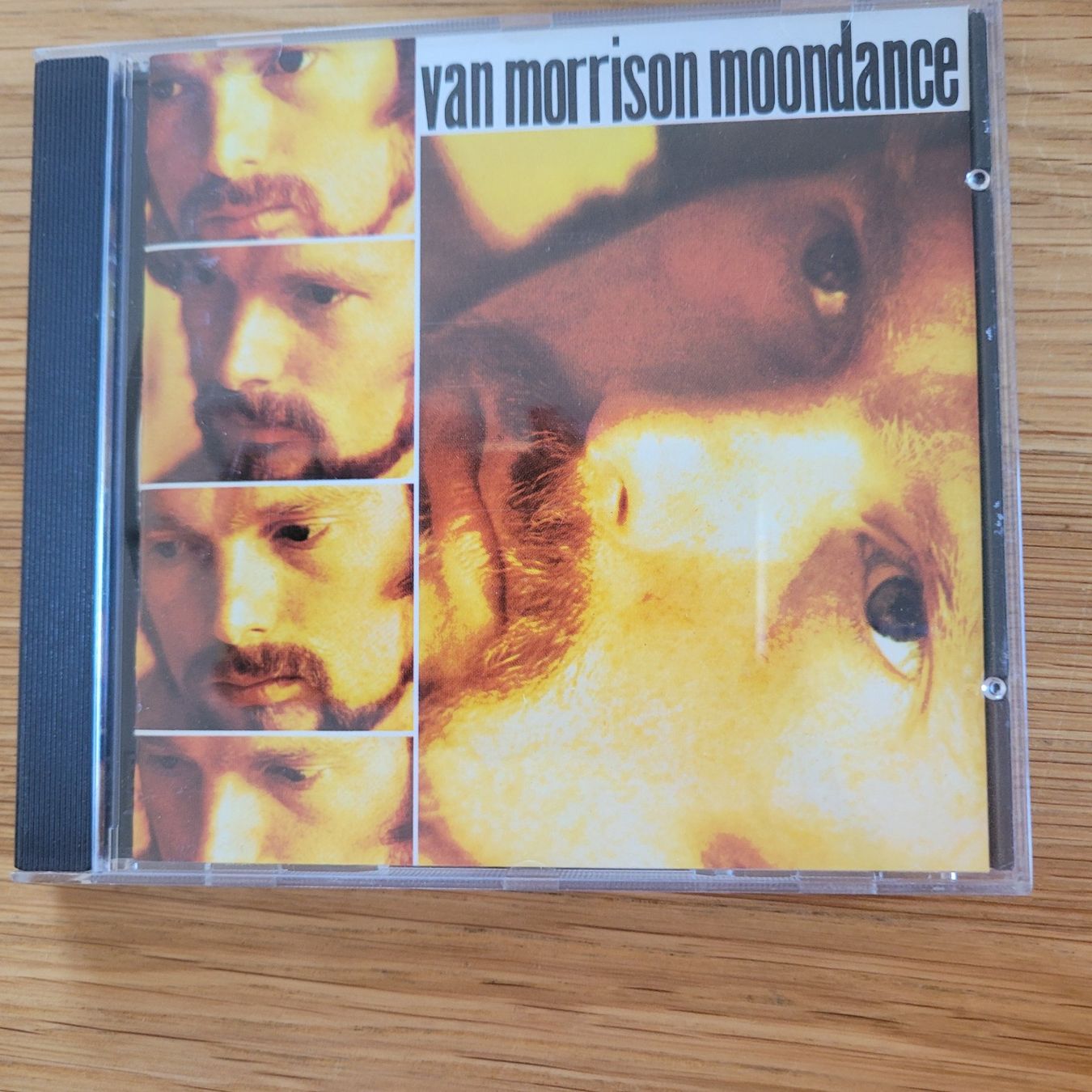 CDs: CD Van Morrison Moondance – D'occasion à Biel/Bienne par Destockweb
