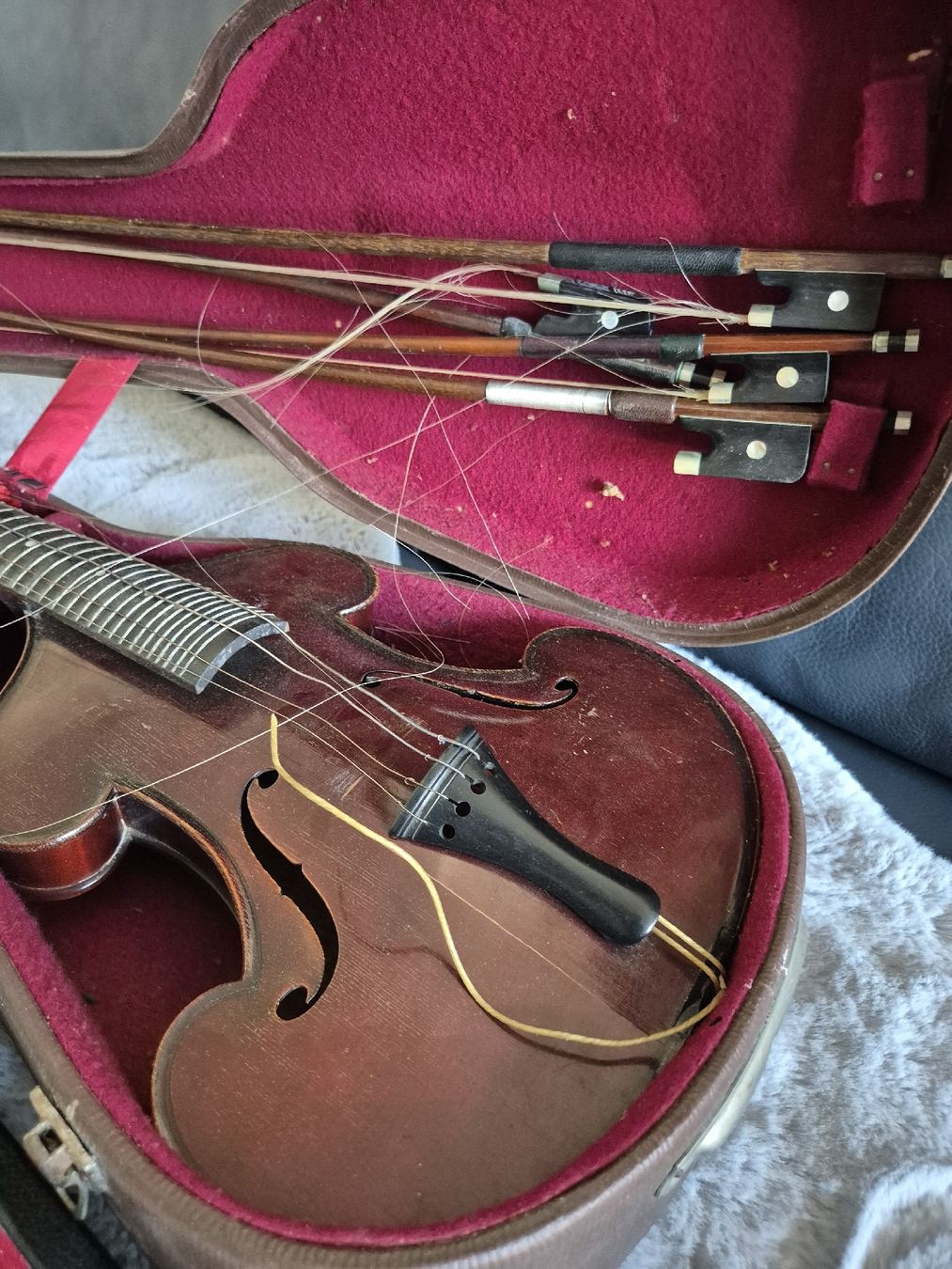 Musikinstrumente: Alte Diskantgambe – Gebraucht aus Zürich von Dalema13 2