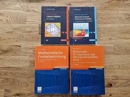 Mathematische Studiumsbücher