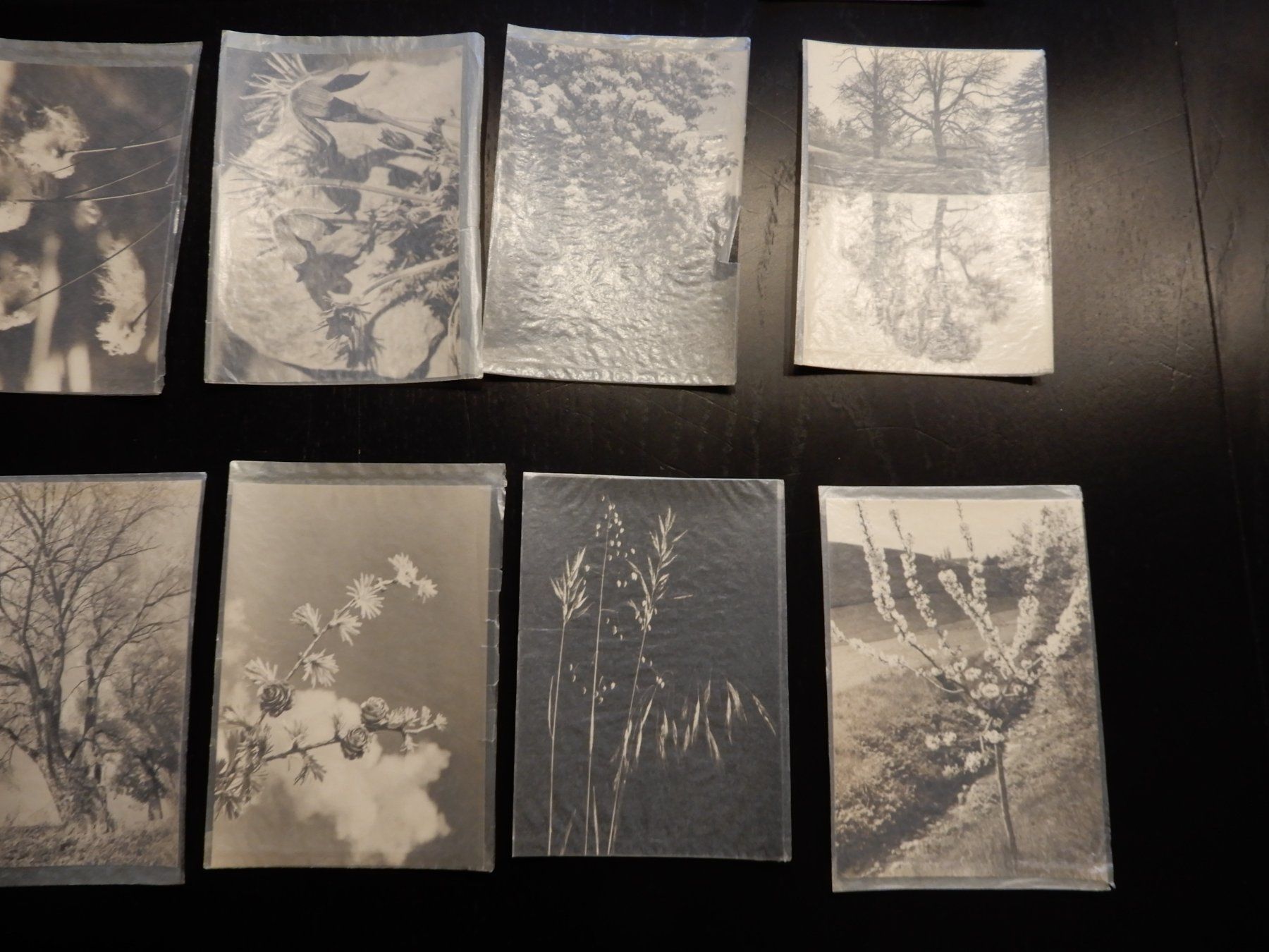 Karten: 28 Antike Kunstkarten, neu und originalverpackt – Neu und originalverpackt aus Erstfeld von Mario_boe0 6