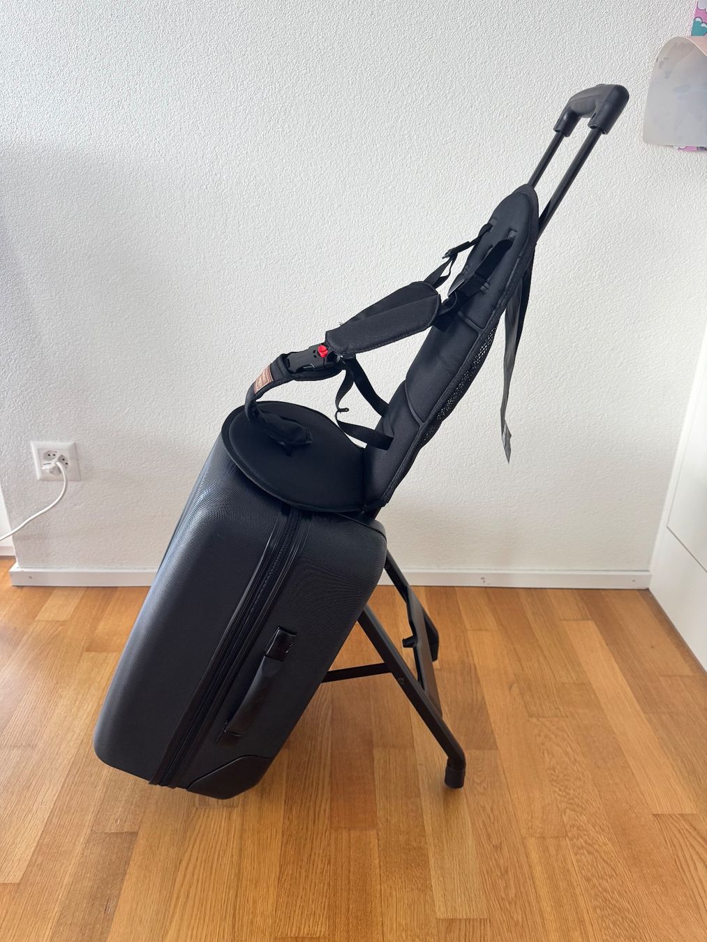 Mountain Buggy Valigie: Mountain Buggy - Handgepäck mit Kindersitz integriert – Usato da Weinfelden venduto da Areinhart 1