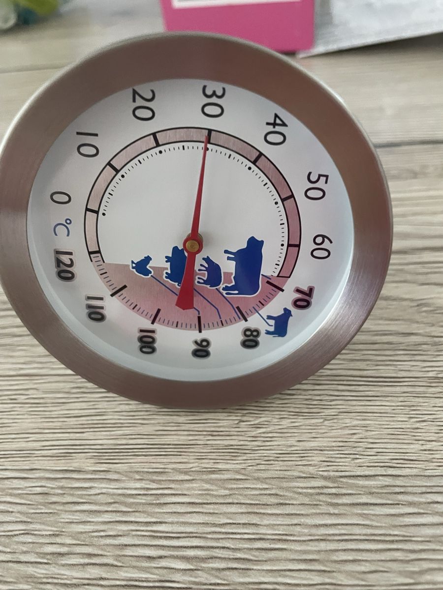 Sonstiges für Haushalt & Wohnen: Neues Braten Thermometer von Easy Home – Gebraucht aus Oberwil BL von Petermib 2