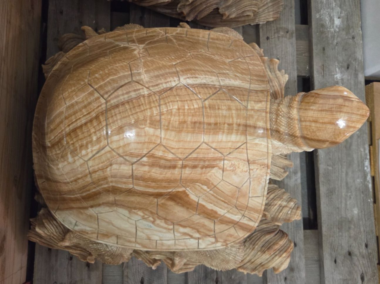 Sculture & Statue: Massive Schildkröte aus Marmor 50cm – Nuovo (secondo la descrizione) da Roggliswil venduto da Mabelco 3