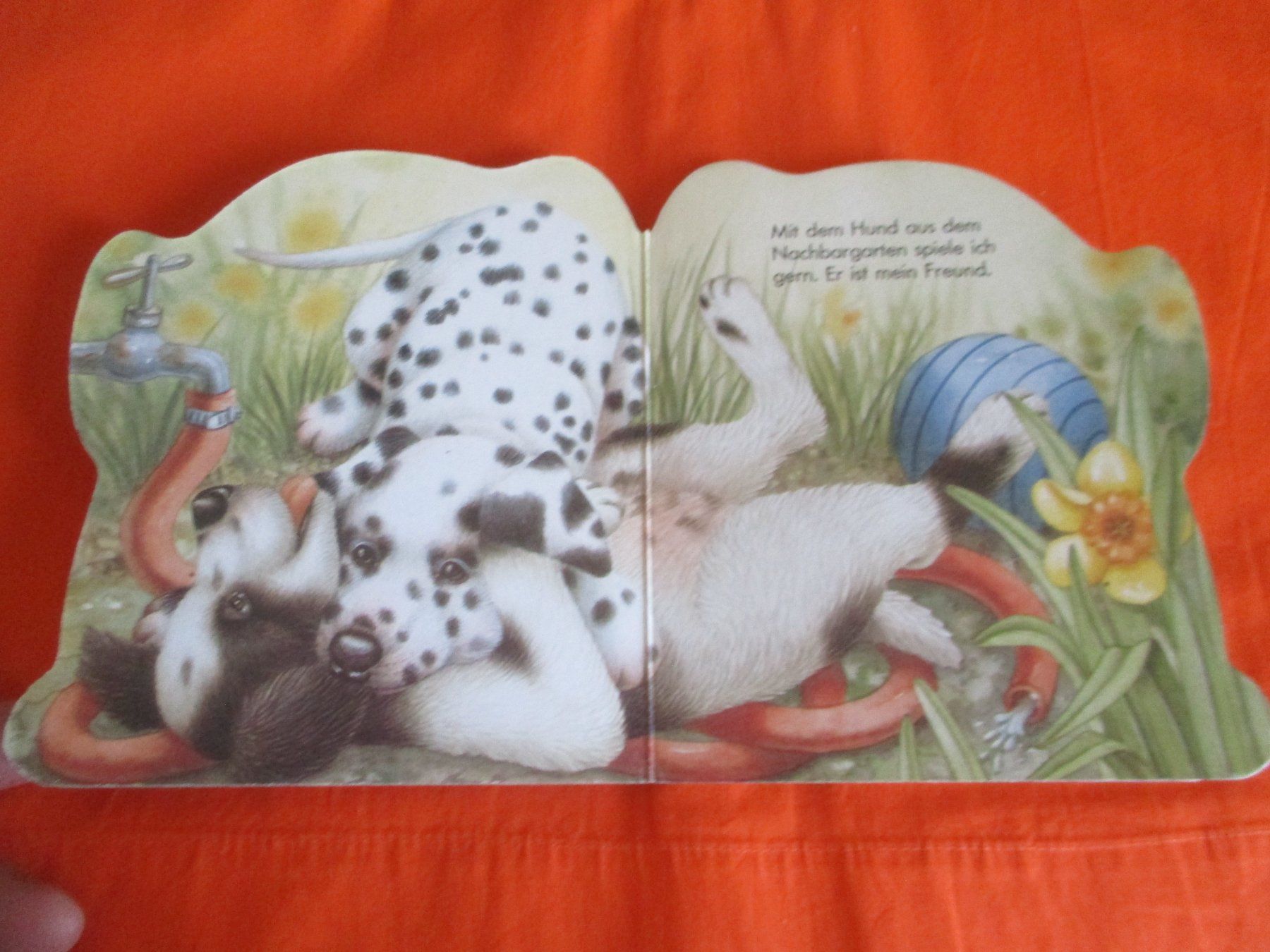 Libri: Bildrbuch Hund – Usato da Birsfelden venduto da alles-muss-raus 1