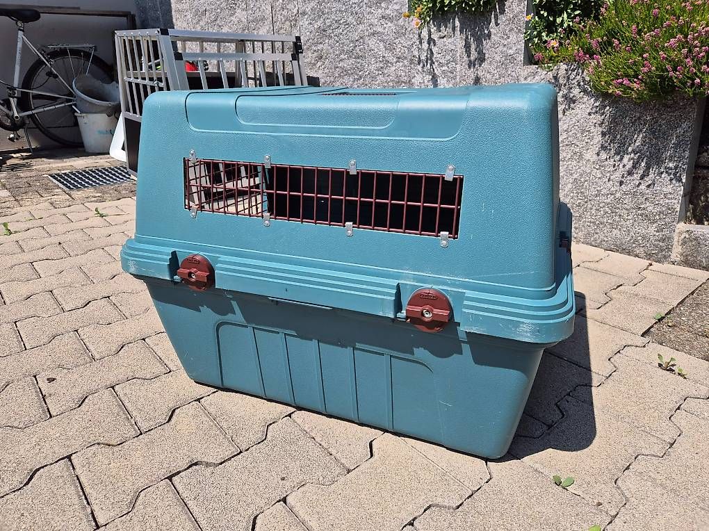 Gabbie, trasporto & Sicurezza: Hunde und Katzenbox gebraucht – Usato da Mellingen venduto da rwbw