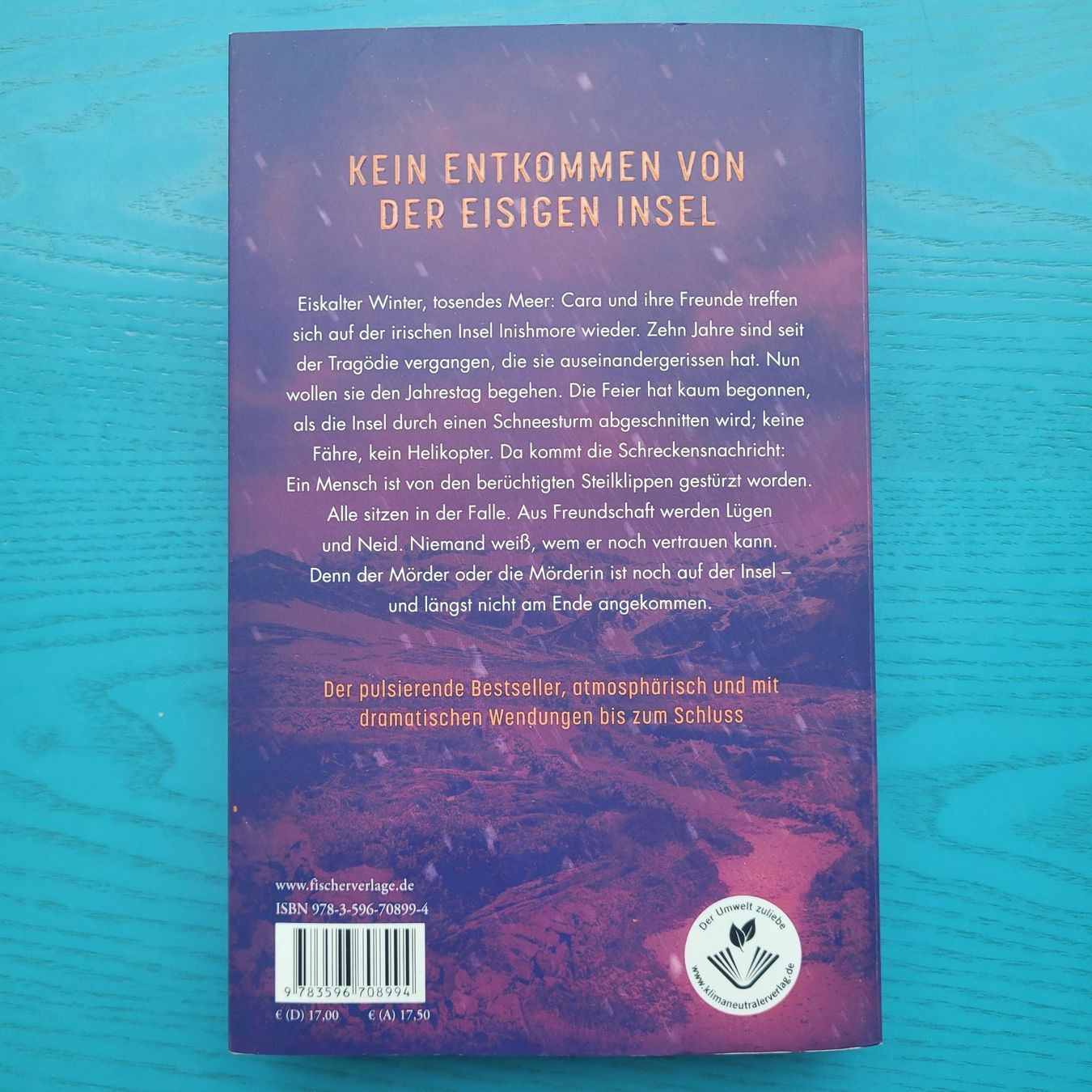 Libri: Triona Walsh - Schneesturm – Nuovo (secondo la descrizione) da SCHÜBELBACH venduto da CoKaHa 1