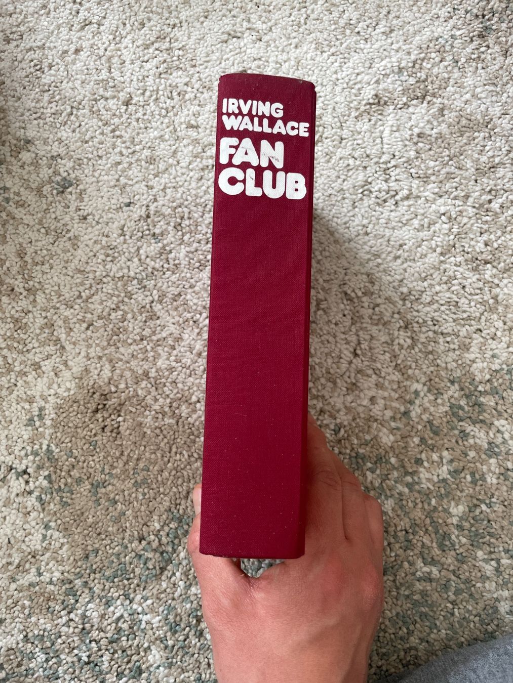 Libri: Irving Wallace Fan Club - Roman – Usato da Sargans venduto da Didis