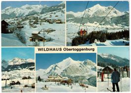 Wildhaus - 5 Bild AK