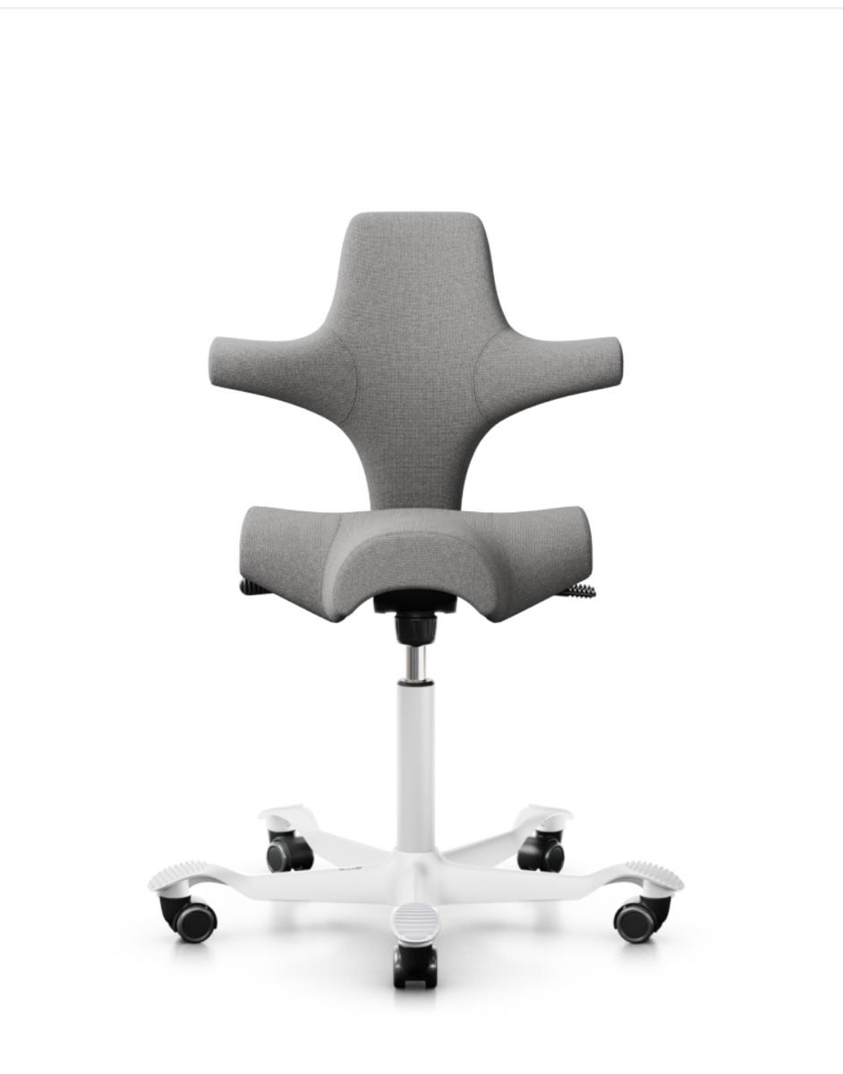 Håg Chaises: Bürostuhl - HAG Capisco 8106 grau – Neuf (Voir description) à Rothrist par N.I.C.O.L.E