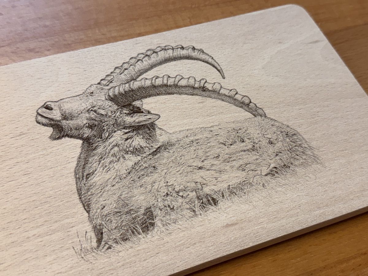 Holzartikel: Holzbrett Steinbock geniesst die Sonne im Engadin – Neu und originalverpackt aus Kloten von Capricorn84 1