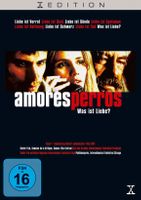 Amores Perros - Was ist Liebe ?