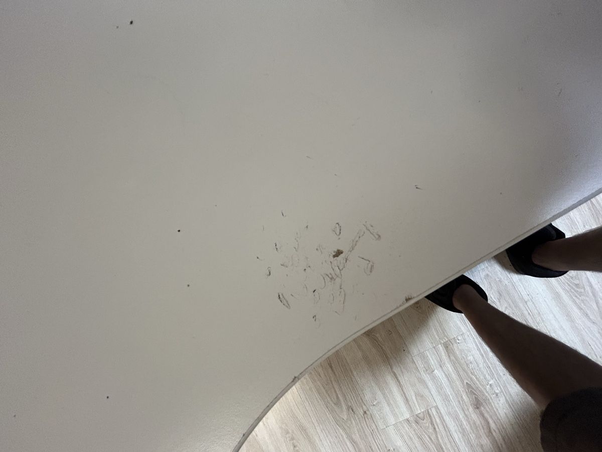Ikea Scrivanie: Schreibtisch – Usato da Wetzikon ZH venduto da zehnderr01 4