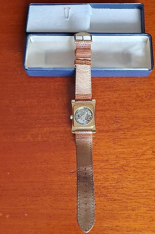 Swiss Orologi: Montre squelette MEISTER – Usato da Saint-Gingolph venduto da Olamitsi 2