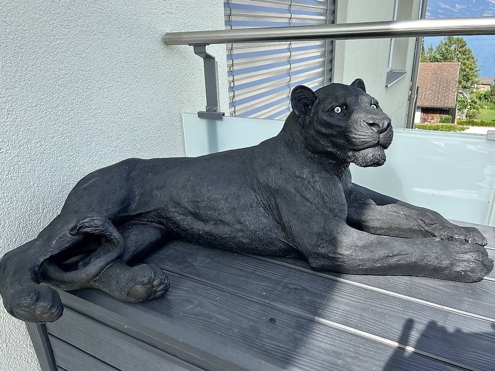 Sculture & Statue: Kare Design Deko Löwe 113 cm schwarz – Nuovo (secondo la descrizione) da Hergiswil NW venduto da allmendkoenig