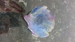 Daum Frankreich signiert Pate De Verre Fisch Koi Kunst Glass