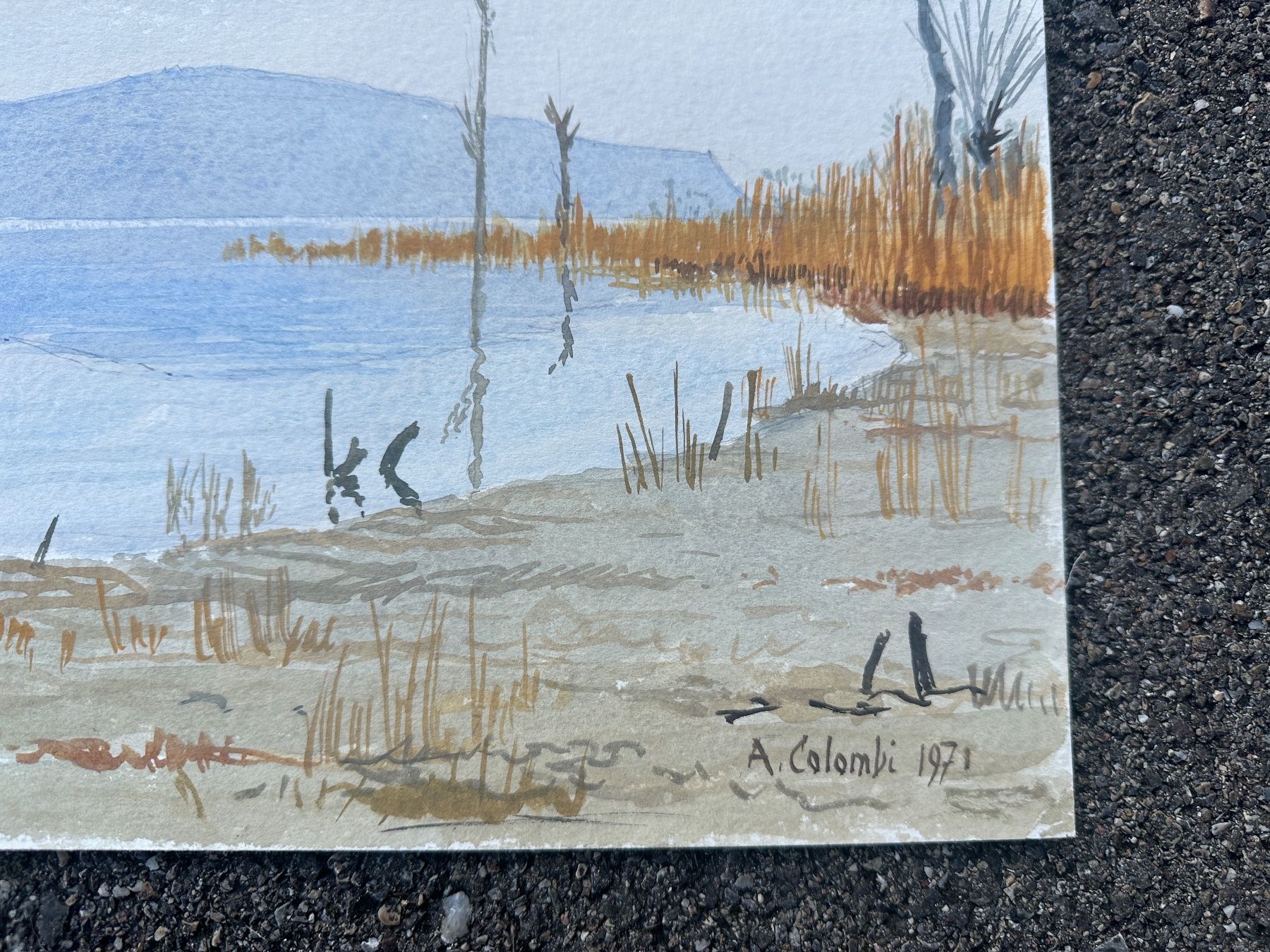Dipinti: Aquarell von Armin Colombi – Usato da Zürich venduto da frauflufelberg 3