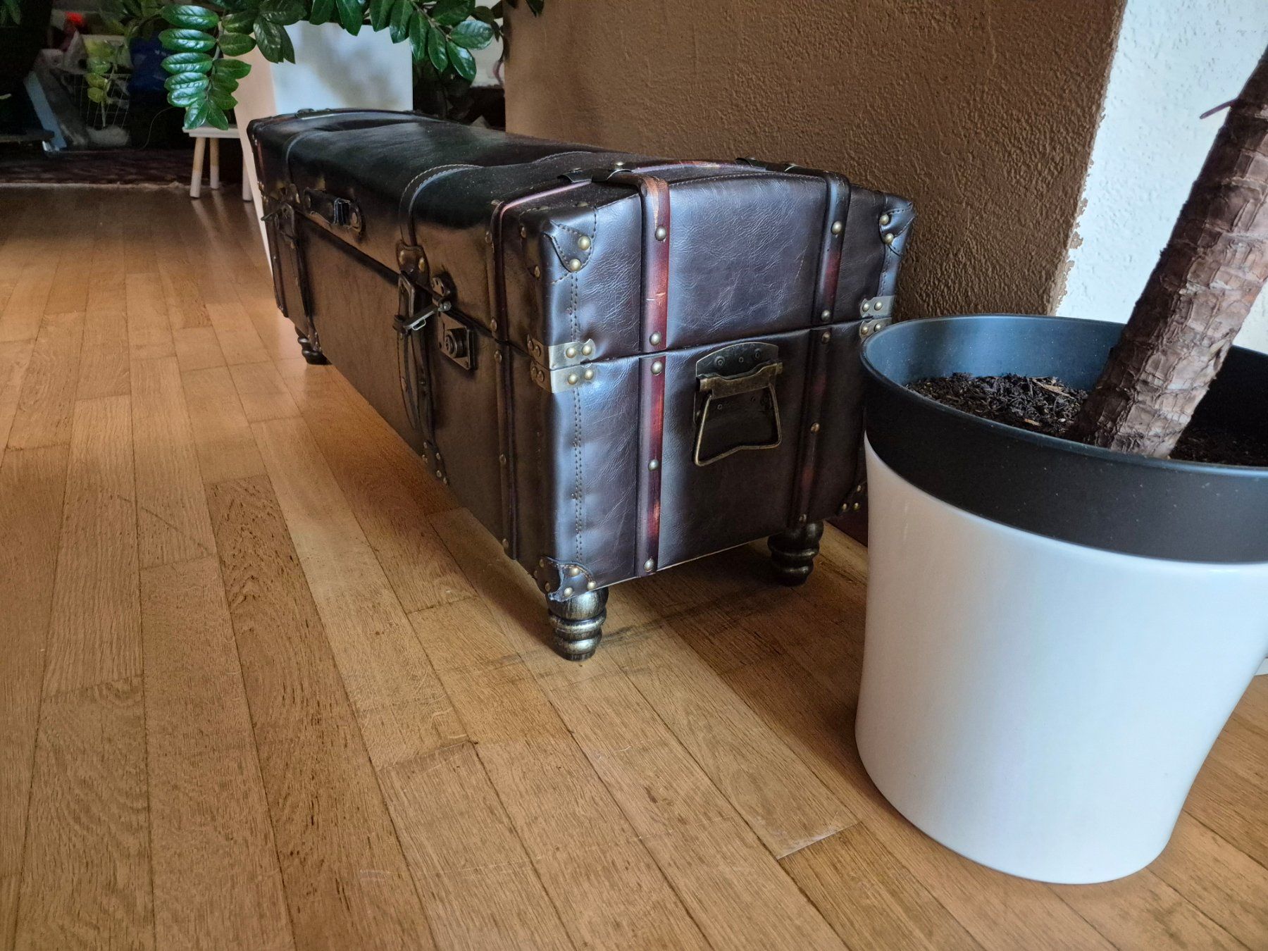 Truhen: Truhe braun Lederoptik Vintage – Gebraucht aus Horw von SvenGasser 1