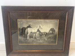 Gravure ancienne "Troupeau de chevaux" (vers 1900)