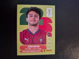 Panini WM 26 POR 14