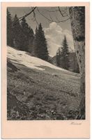 Bergwiese mit Schnee (Mischol), um 1920