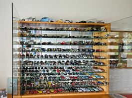 220 Modelautos RIO 1:43 / erstklassige Sammlung mit Vitrine