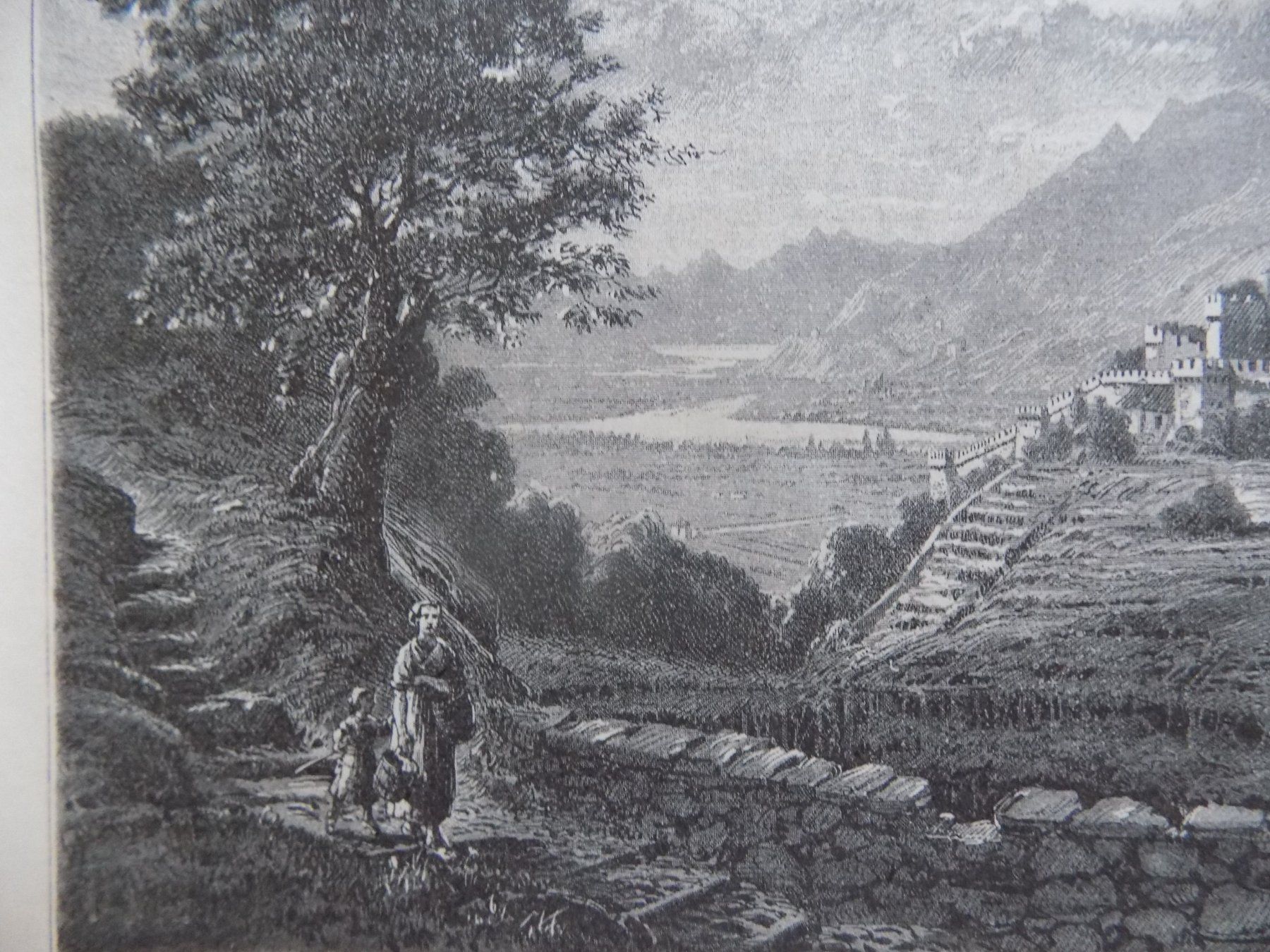Incisioni: Bellinzona Castello di Svitto – Usato da Risch venduto da Antikfee 2
