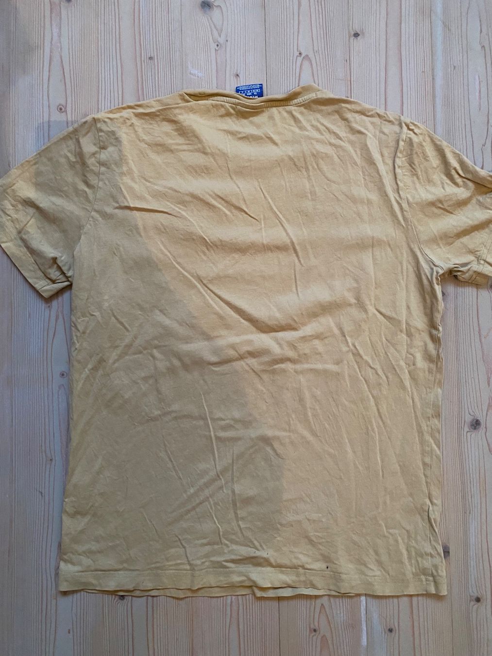 Champion T-shirt: T-shirt Champion (size M) – Usato da Delémont venduto da noe_2dvd 1