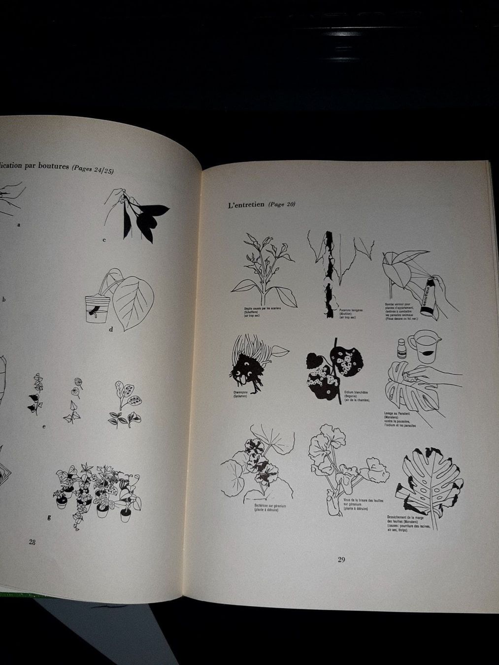 Libri: Foyers fleuris – Usato da Le locle venduto da juliensaran 2
