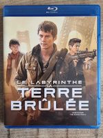 Le Labyrinthe : La Terre brûlée