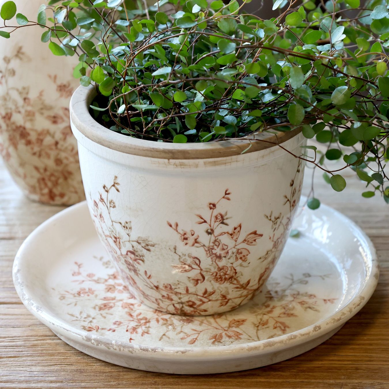 Vasi per fiori: Chic Antique Übertopf "Chaville", Höhe 13 cm – Nuovo e nell'imballaggio originale da Innertkirchen venduto da Glatthard-Interior