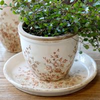 Chic Antique Übertopf "Chaville", Höhe 13 cm