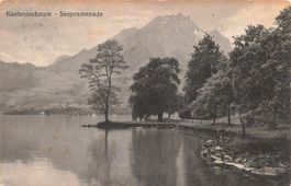Kastanienbaum (LU) Seepromenade