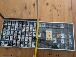 Edelsteinsammlung im Koffer – Perfekt für Sammler!