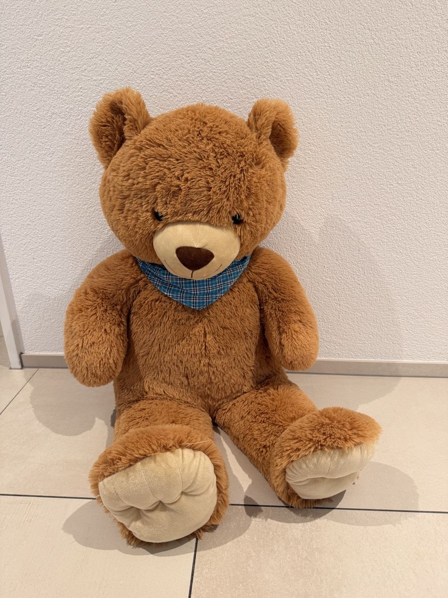 Giocattoli: Grosser Plüschbär – Usato da Siebnen venduto da thuno