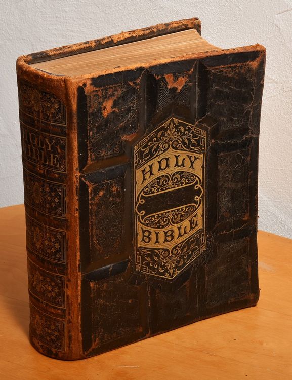 The Holy Bible, grosse englische, illustrierte Bibel, 1876 Kaufen auf