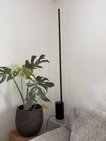 Philips Hue Gradient